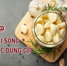Ăn tỏi sống các tác dụng gì? 8+ Tác dụng của tỏi với sức khỏe